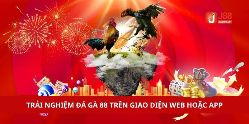 Trải nghiệm Đá gà 88 trên giao diện web hoặc app