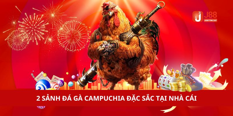 2 sảnh Đá gà Campuchia đặc sắc tại nhà cái