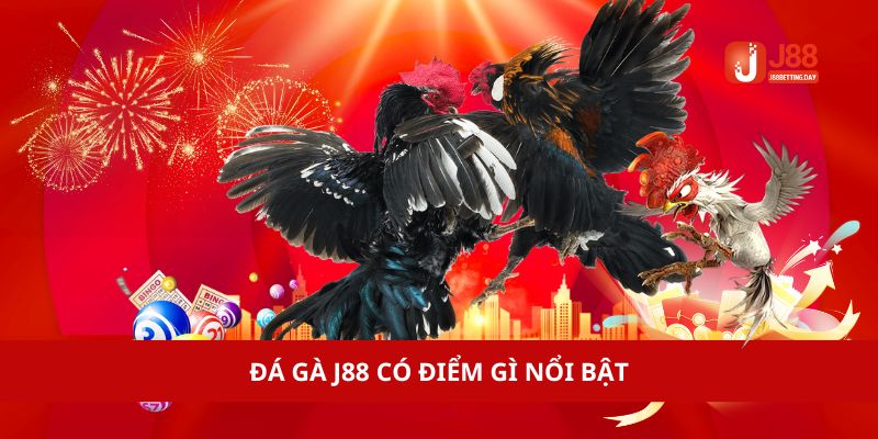 4 đặc điểm nổi bật của Đá gà J88