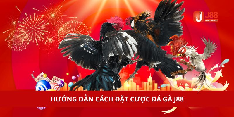 Đặt cược Đá gà J88 nhanh chóng chỉ với 6 bước