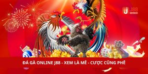 Đá Gà Online J88 - Xem Là Mê - Cược Cũng Phê