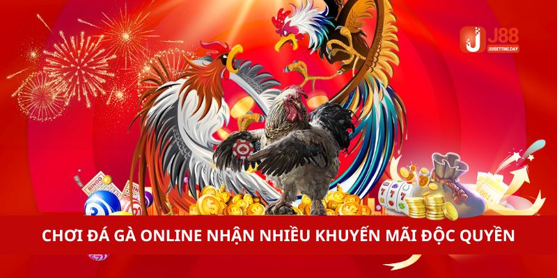 Chơi đá gà online nhận nhiều khuyến mãi độc quyền