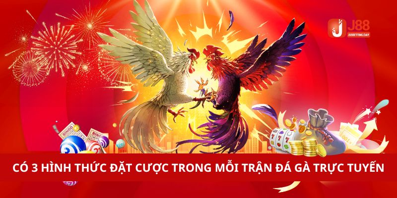 Có 3 hình thức đặt cược trong mỗi trận đá gà trực tuyến