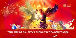 Trực Tiếp Đá Gà - Tất Cả Thông Tin Từ A Đến Z Tại J88